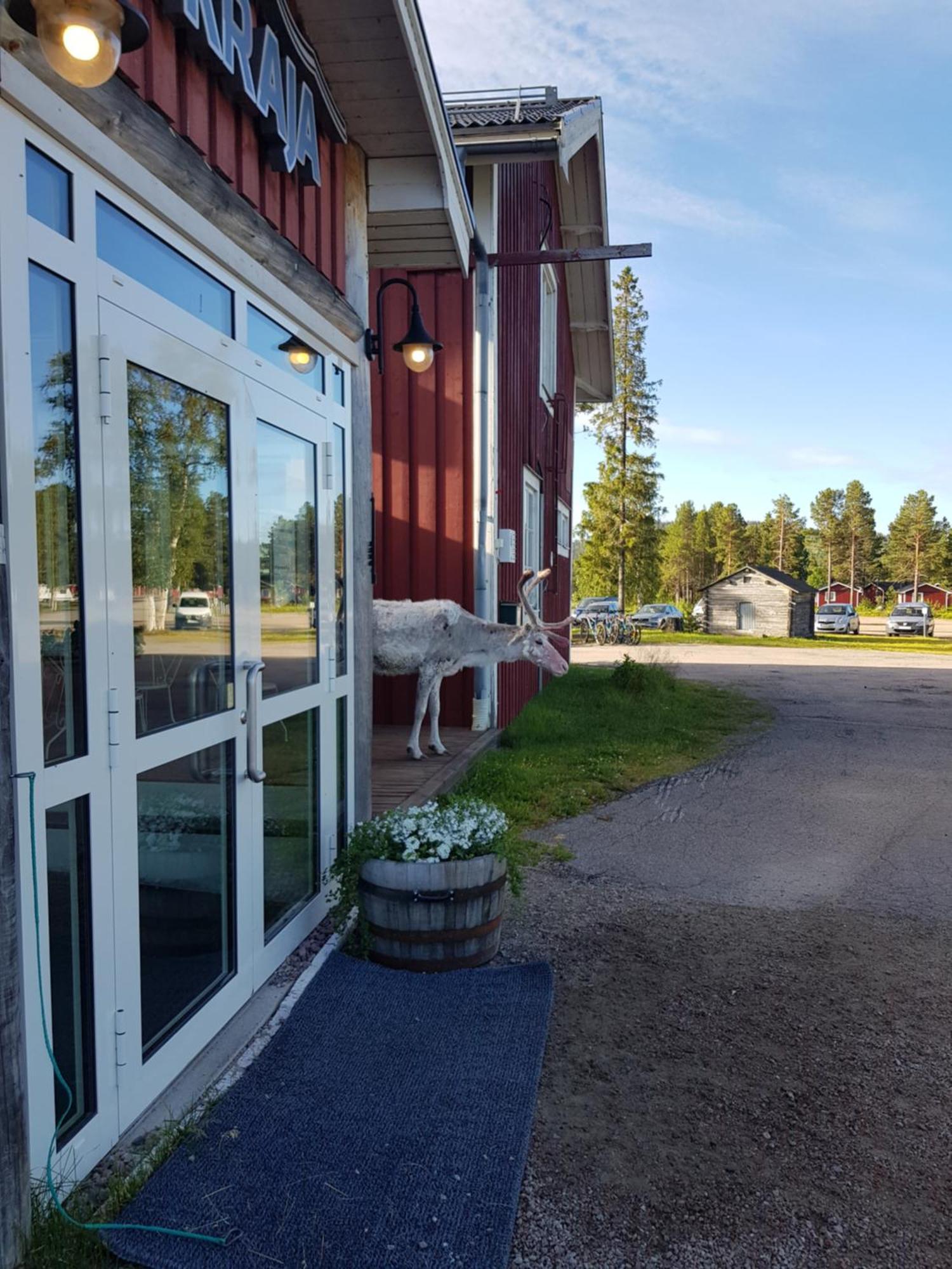 Hotel Kraja Arjeplog Zewnętrze zdjęcie