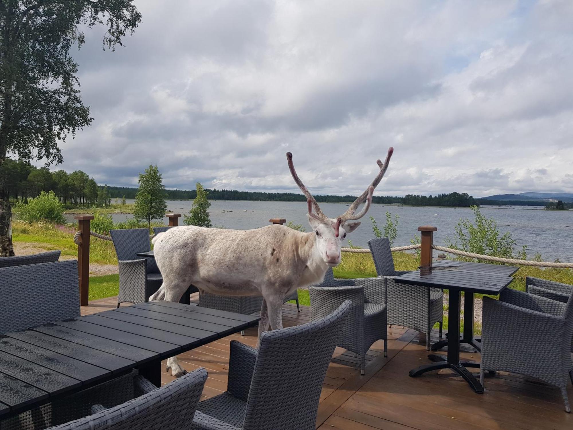 Hotel Kraja Arjeplog Zewnętrze zdjęcie