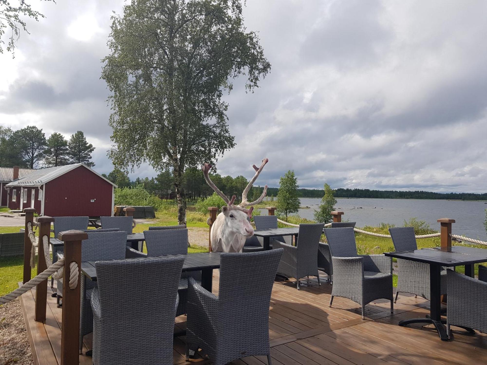 Hotel Kraja Arjeplog Zewnętrze zdjęcie